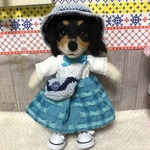 ダックスちゃんスニーカー付き(A 様注文品)