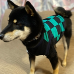 夏物犬服オーダー★和柄タンク緑色市松模様・黄色・ピンクもありますフレブル服中型犬小型犬フレンチブルドッグ服パグ服麻の葉文様・市松模様