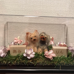 k様ご予約品