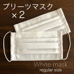 【２枚セット】シンプルプリーツマスク　フィルターポケット付き　ノーズワイヤーが簡単に交換できるマスク