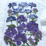 紫のお花のセット⑤