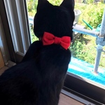 猫の首輪 鈴無料