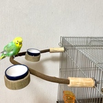 【shokola0810様専用】天然木のおやつ入れ付きぐるりんパーチ（とまり木）【文鳥・セキセイインコ・オカメインコ・ウロコインコ】