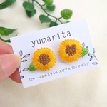 夏ひまわり と リーフ の  刺繍ピアス /イヤリング    (*´˘`*)  送料無料        