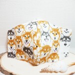 大人用マスク！  柴犬たまにビションくん。