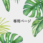 専用ページ 𓂃 𓆸 ⡱