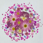 押し花素材vol105. Lana_Mana様　専用です