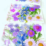 押し花　花材