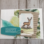 【バースデーカード】Young deer in the forest
