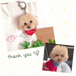 kyakyapooo 様専用♡毛糸わんこ『うちの子オーダー』 (mii wool&wool) 