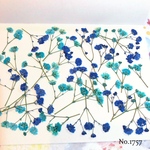 ♡new♡作家様必見♡ ♡カラフルなかすみ草♡押し花セット