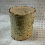 白樺ミニ切り株(再販します)