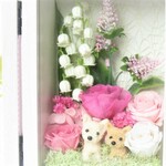 【送料600円～】結婚祝い♪　テリアのフォトフレーム　プリザーブドフラワー　犬　ペット