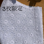 🌸レース生地お洒落マスク🌸涼感加工ダブルガーゼ/ブルー