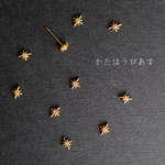 小さなキラキラ星のスタッドピアス/サージカルステンレス/小ぶり/片耳/送料無料