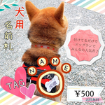 ネームタグ 犬用 名前札 骨型 水洗いOK 蓄光 キラキラ 可愛い おしゃれ