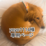 yoyo1114様専用ページ
