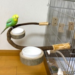 【iroha-25様専用】天然木のおやつ入れ付きぐるりんパーチ（半円形とまり木）【文鳥・セキセイインコ・オカメインコ・ウロコインコ】