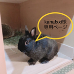 kanafxxi様専用ページ