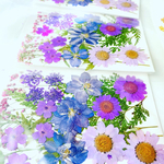 押し花　花材　シート1枚