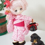 オビツ11浴衣🌸桃色散歩🌸