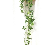 シュガーバインSuperLong　Basket付き