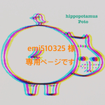 emi510325様専用ページです