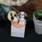 シーズー＊ハロウィン＊樹脂粘土＊わんこ＊犬＊ミニチュア