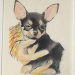 011(チワワ　ブラックタン)