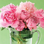 ♡minoin様専用ページ♡