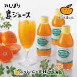 希望の島 丸しぼり果汁 250ml 8本 ギフト箱入 愛媛 中島産 みかんジュース（温州、伊予柑、ミックス、清見）
