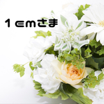 1emさま専用ページ