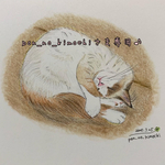 @pon_no_kimochiさま専用♪