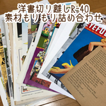 洋書切り離しR-40・素材もりもり詰め合わせ・洋書ペーパー