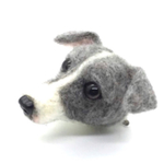 イタリアングレーハウンド