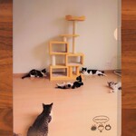 クリアファイル＊ピラフ一味