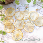 ジューシースライスレモンの大ぶりピアス、イヤリング🍋