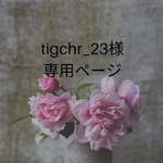 専用出品