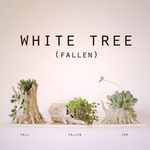 white tree (fallen) 　　work of jin