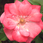 t-m-m0358様オーダー作品