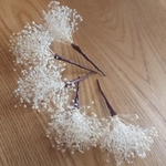 可愛い小花がいっぱい　　かすみ草髪飾り      5本セット