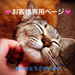 こちらはオーダーを頂いたお客様専用ページです*