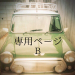 専用ページB