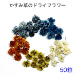 【50個】かすみ草のドライフラワー（シック系）