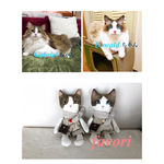 【オーダー様専用】うちの子♥猫人形  ぬいぐるみ