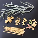 【送料込】1円玉より小さい、ミニチュアパスタ