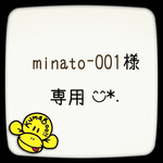 minato-001様 専用
