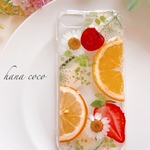 ❁.。.:*フルーツの庭　時々カモミール.❁.。.:*:.。.✽.。.:.