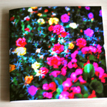 ZINE「dreamy」