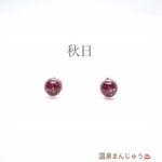 小さな宝石箱ピアス＊秋日＊レジン